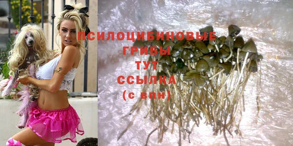 скорость Балабаново