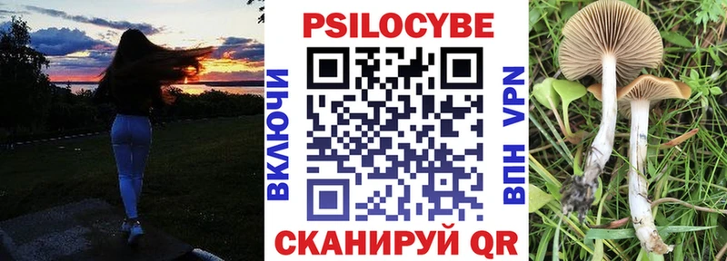наркота  Чишмы  дарк нет состав  Галлюциногенные грибы GOLDEN TEACHER 